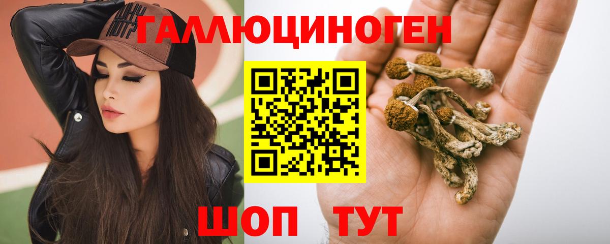 Галлюциногенные грибы Magic Shrooms  Вход с VPN  как найти закладки  Галлюциногенные грибы Psilocybine cubensis  Родники 