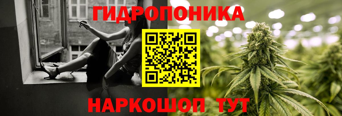 Бошки Шишки Amnesia Родники
